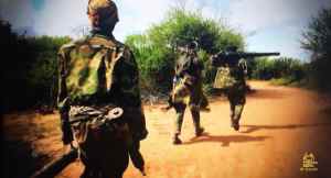 Advancing Thru Thicket